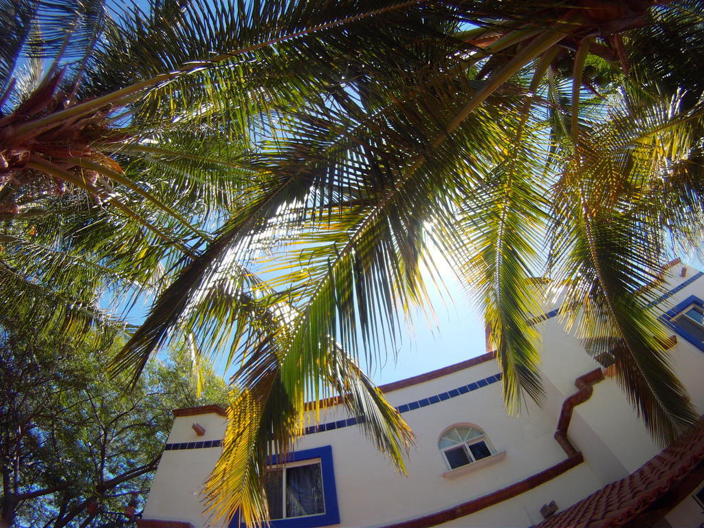 Hacienda Paraiso De La Paz Bed and Breakfast Habitación foto